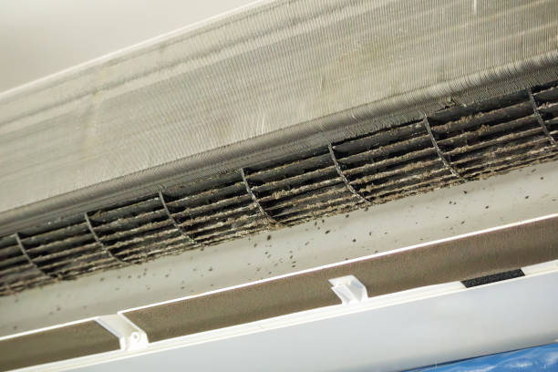 Best General Air Duct Cleaning  in Paddock Lake, WI